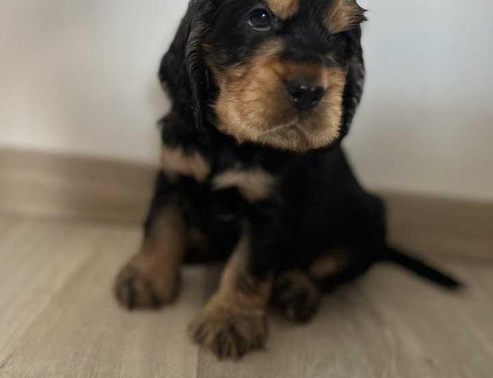 Ezra