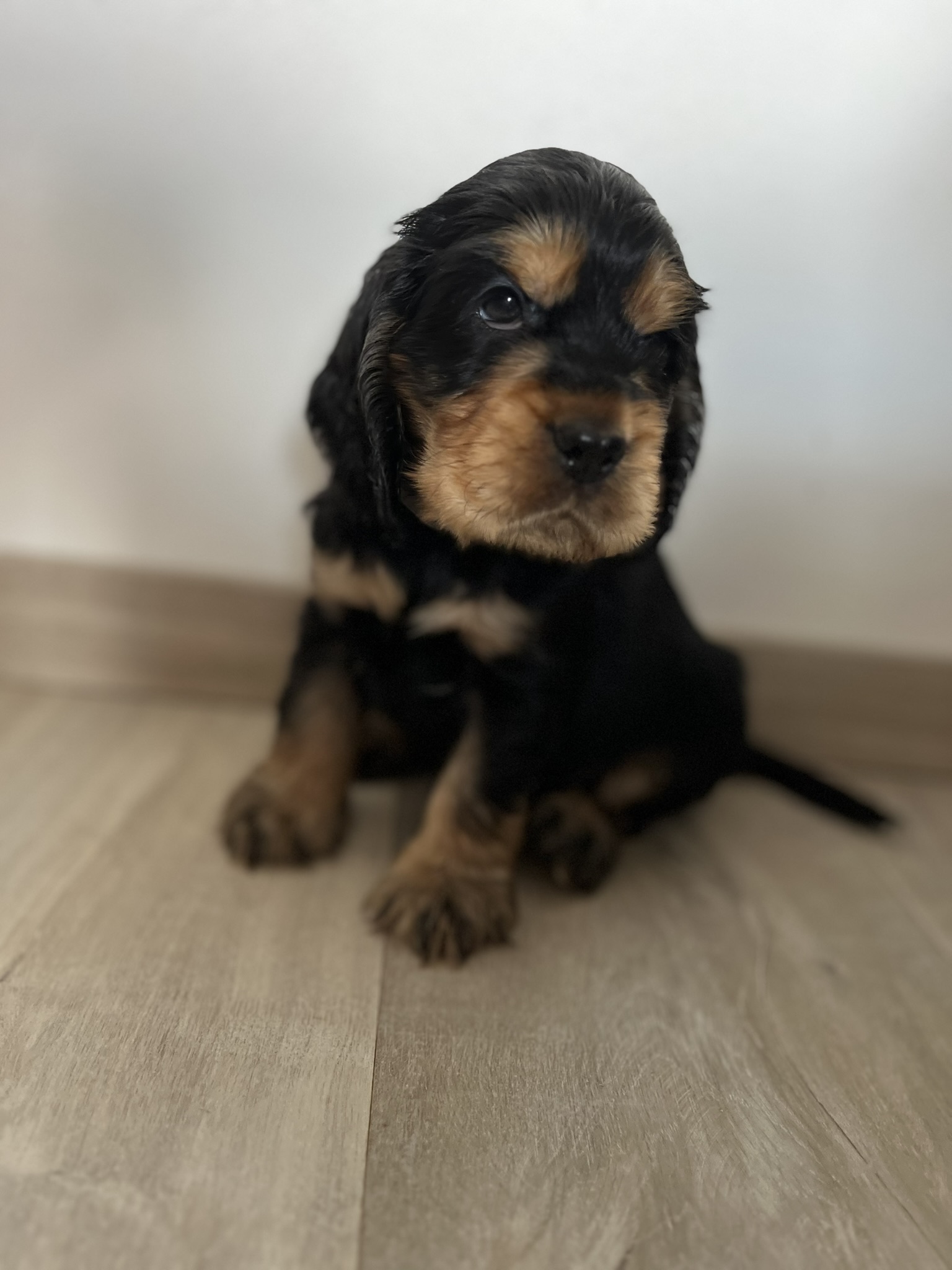Ezra