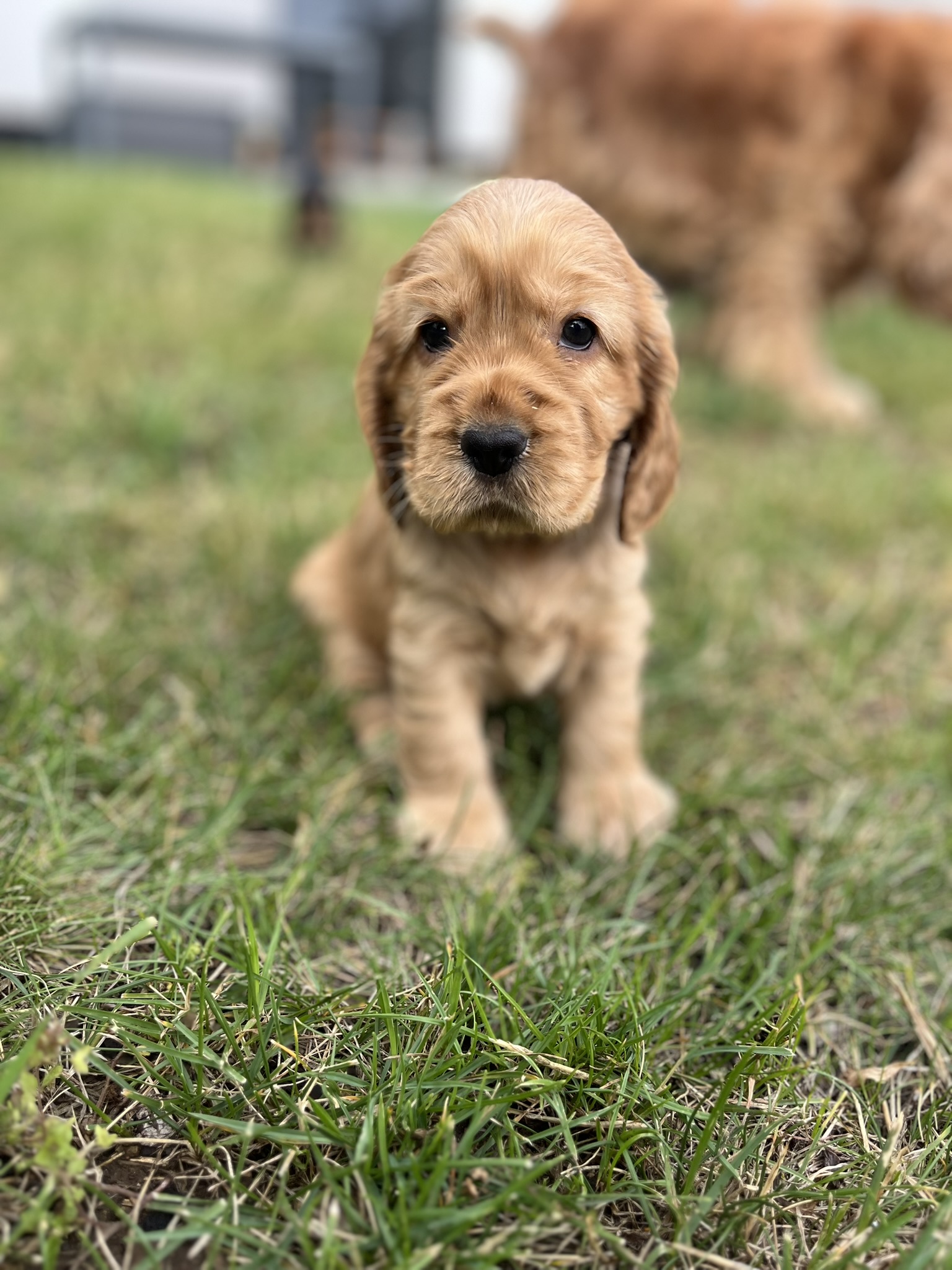 Emily